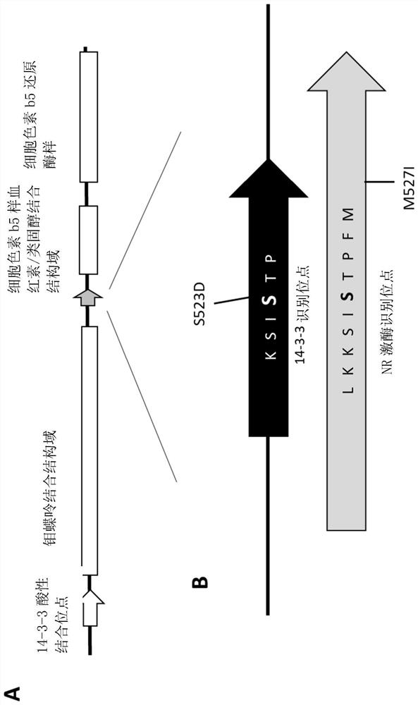 Modulation of nitrate levels in plants via mutation of nitrate reductase