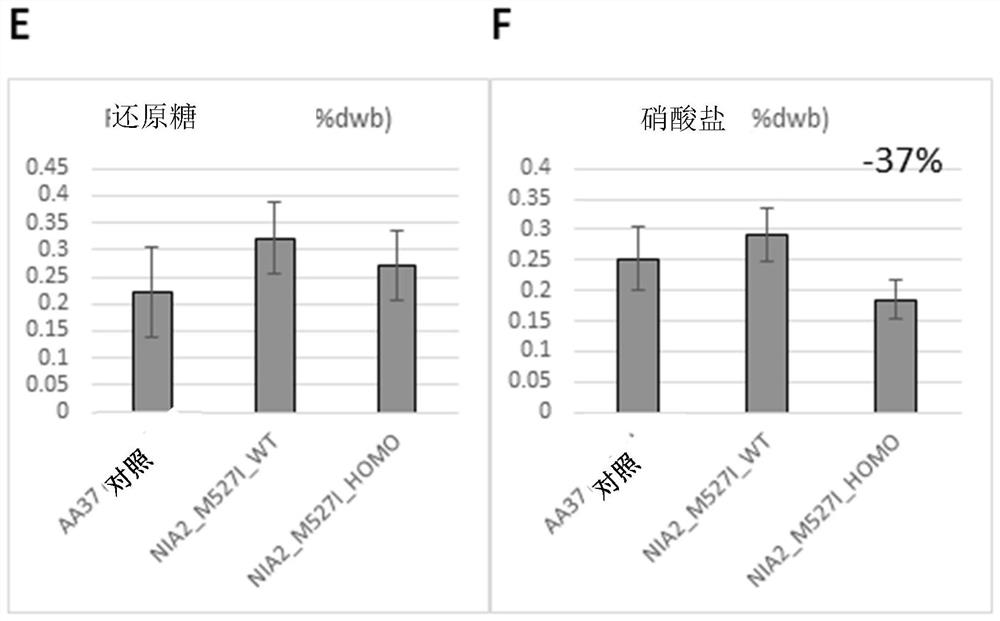 Modulation of nitrate levels in plants via mutation of nitrate reductase