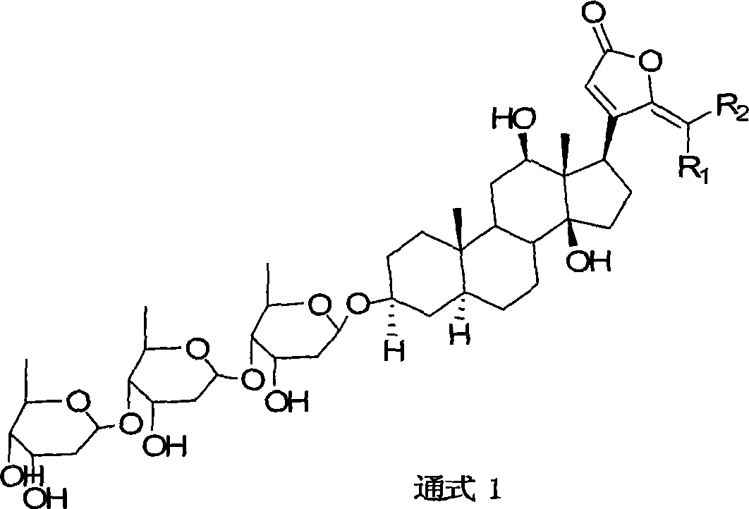 21-subunit digoxin derivative and preparation method thereof