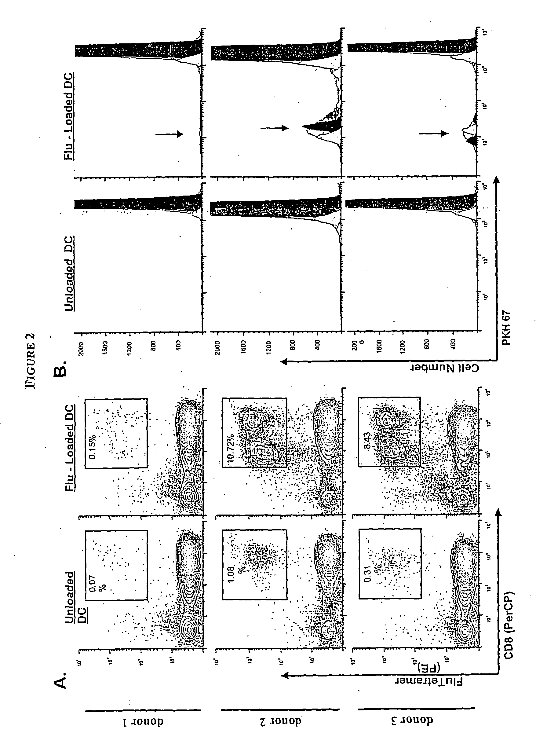 Method to measure a t cell response and its uses to qualify antigen-presenting cells
