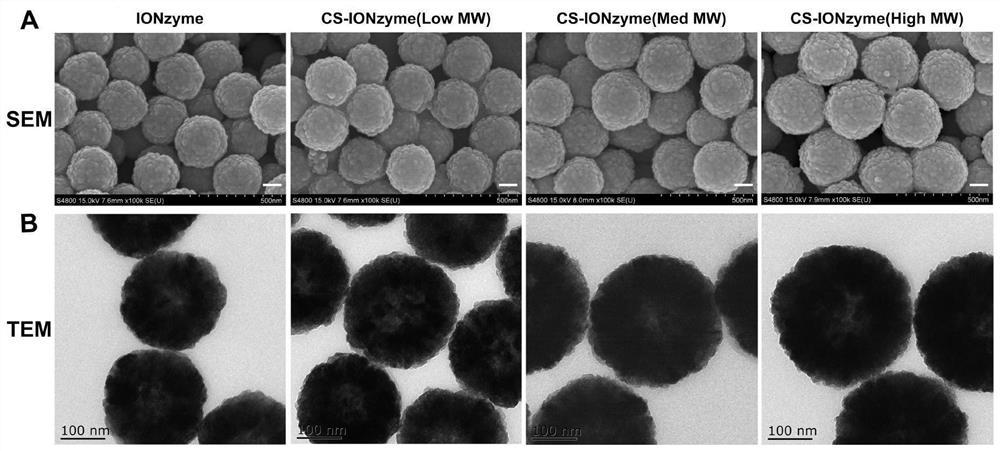 A kind of chitosan-modified nano-enzyme mucosal immune adjuvant and influenza mucosal vaccine and preparation method thereof
