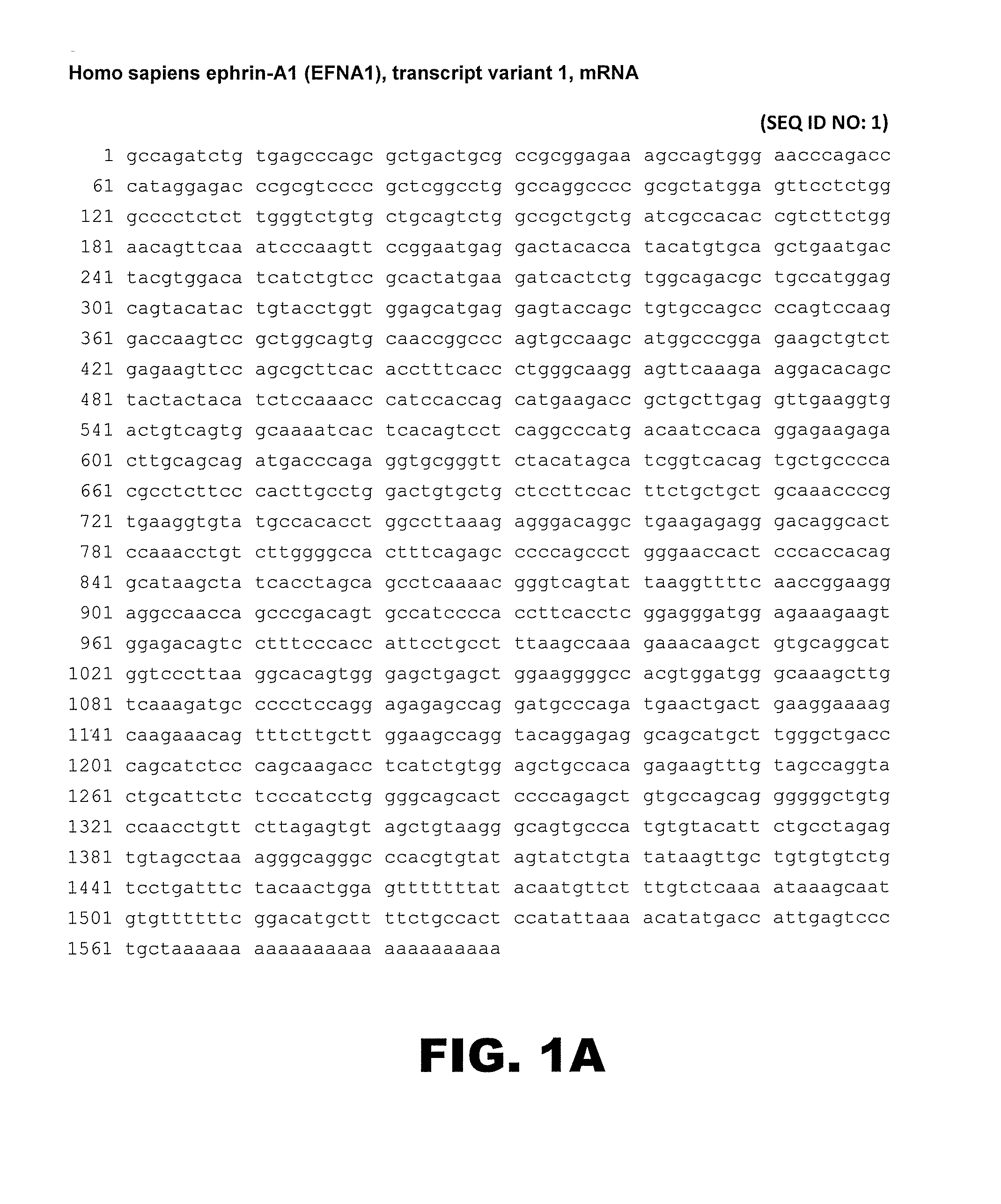 Novel modulators and methods of use