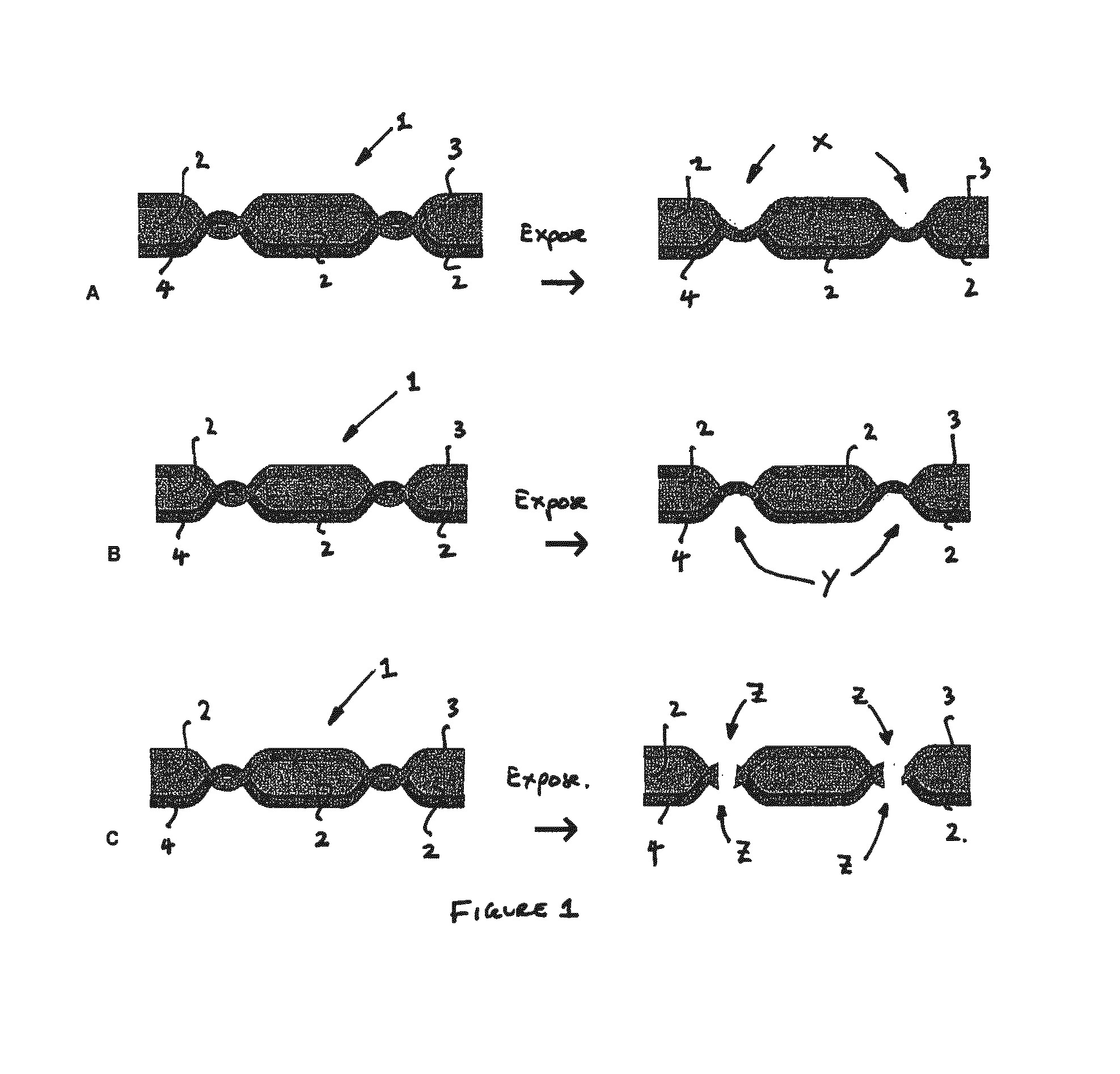 Article assembly disassembly system