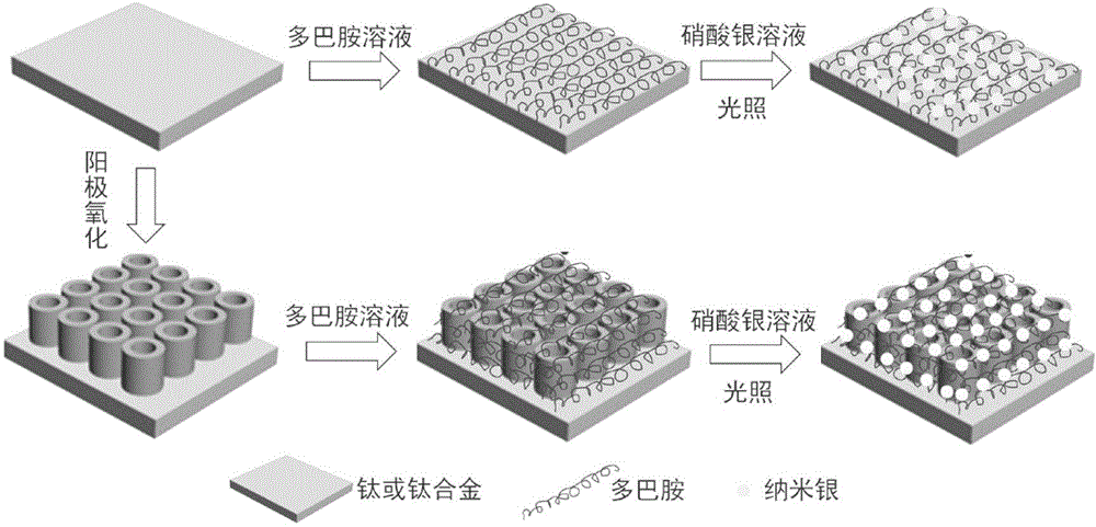 Dopamine-nanosilver composite coating and preparation method thereof