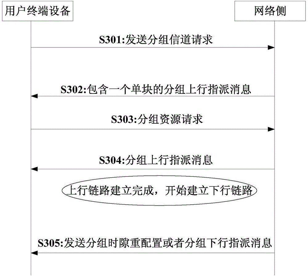 Downlink data access and transmission method and apparatus