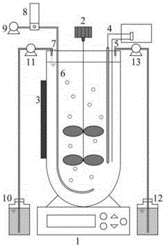 Ammonia nitrogen feeding-periodic running ammonia-oxidizing bacterium colony screening and enrichment culture method