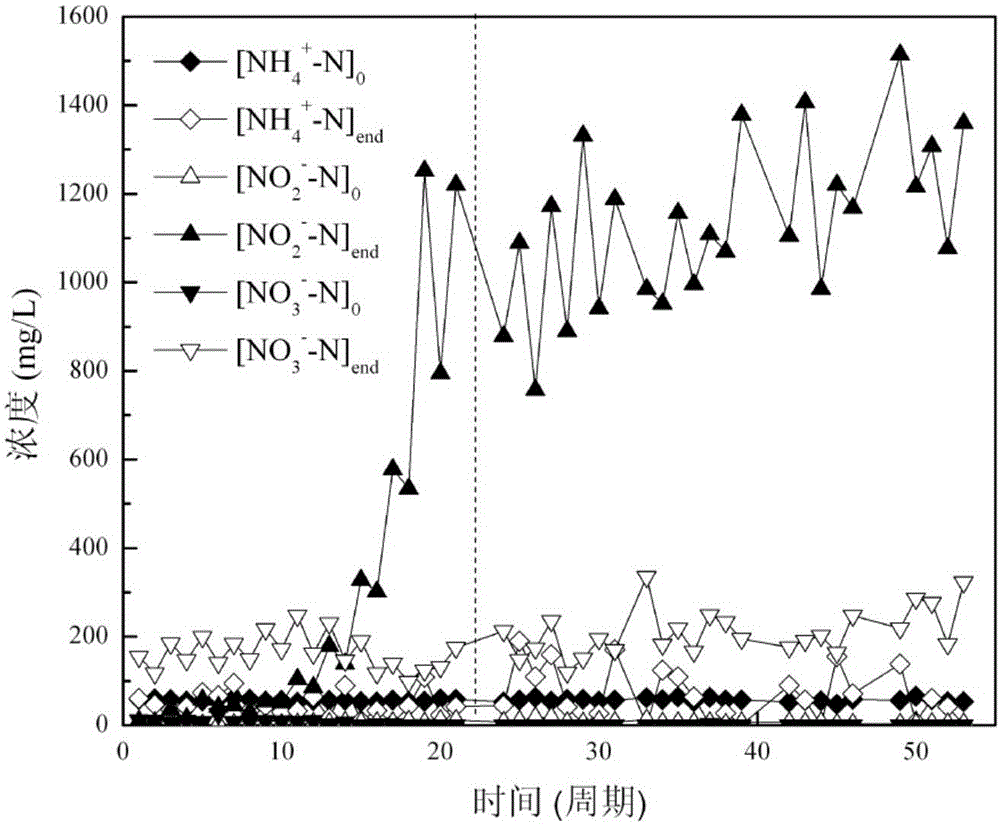 Ammonia nitrogen feeding-periodic running ammonia-oxidizing bacterium colony screening and enrichment culture method