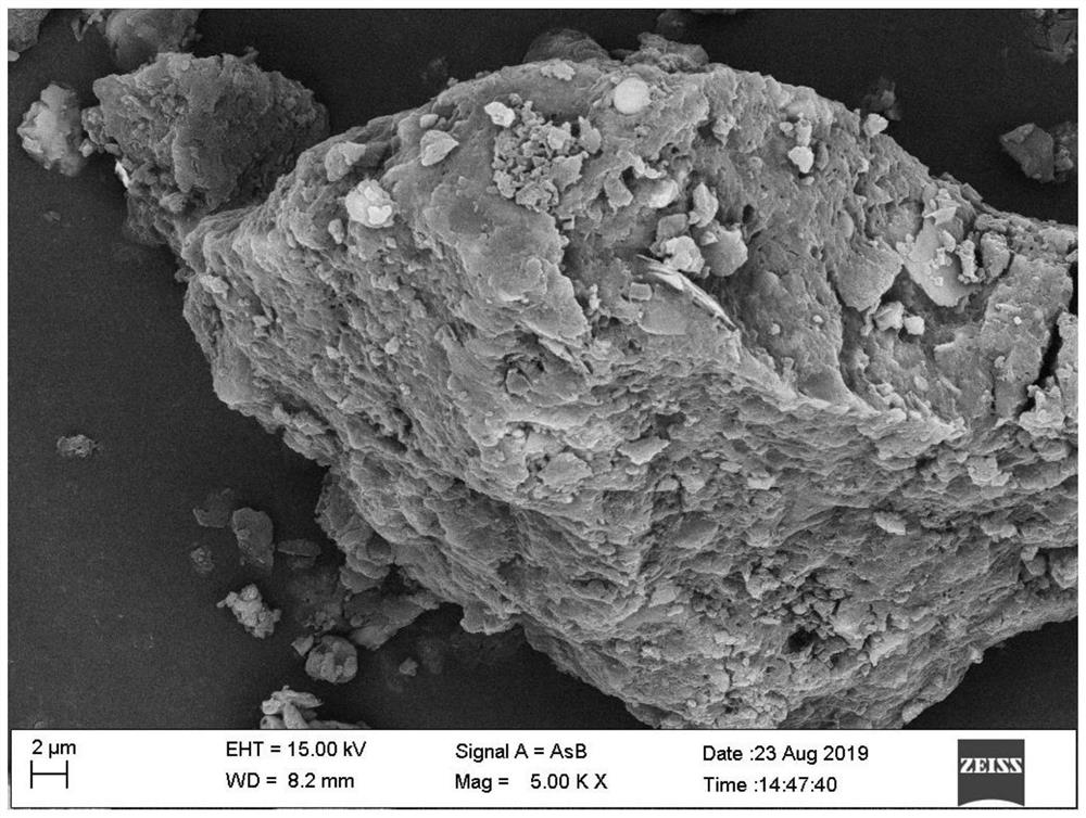 Biochar prepared by co-pyrolysis of excess sludge and hazelnut shells and photocatalytic modification method of biochar