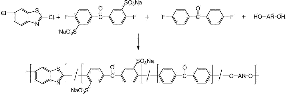 Sulfonated polyaryletherketone copolymer containing benzothiazole group and preparation method thereof