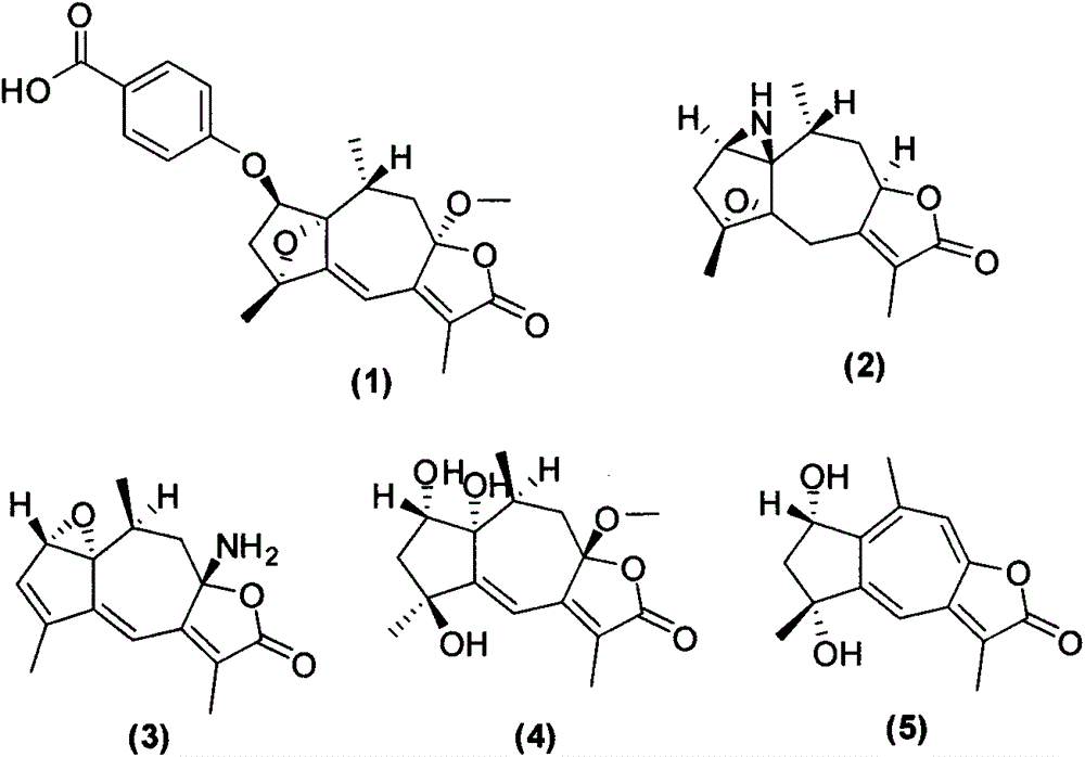 Preparation method of high oxidation guaiane-type compound and application of compound for resisting marine biofouling