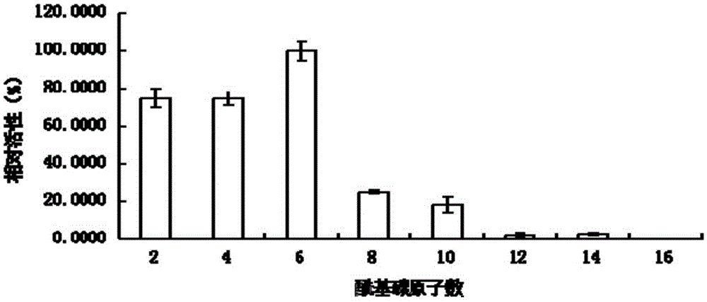 Lipase L-1 and coding gene and application thereof