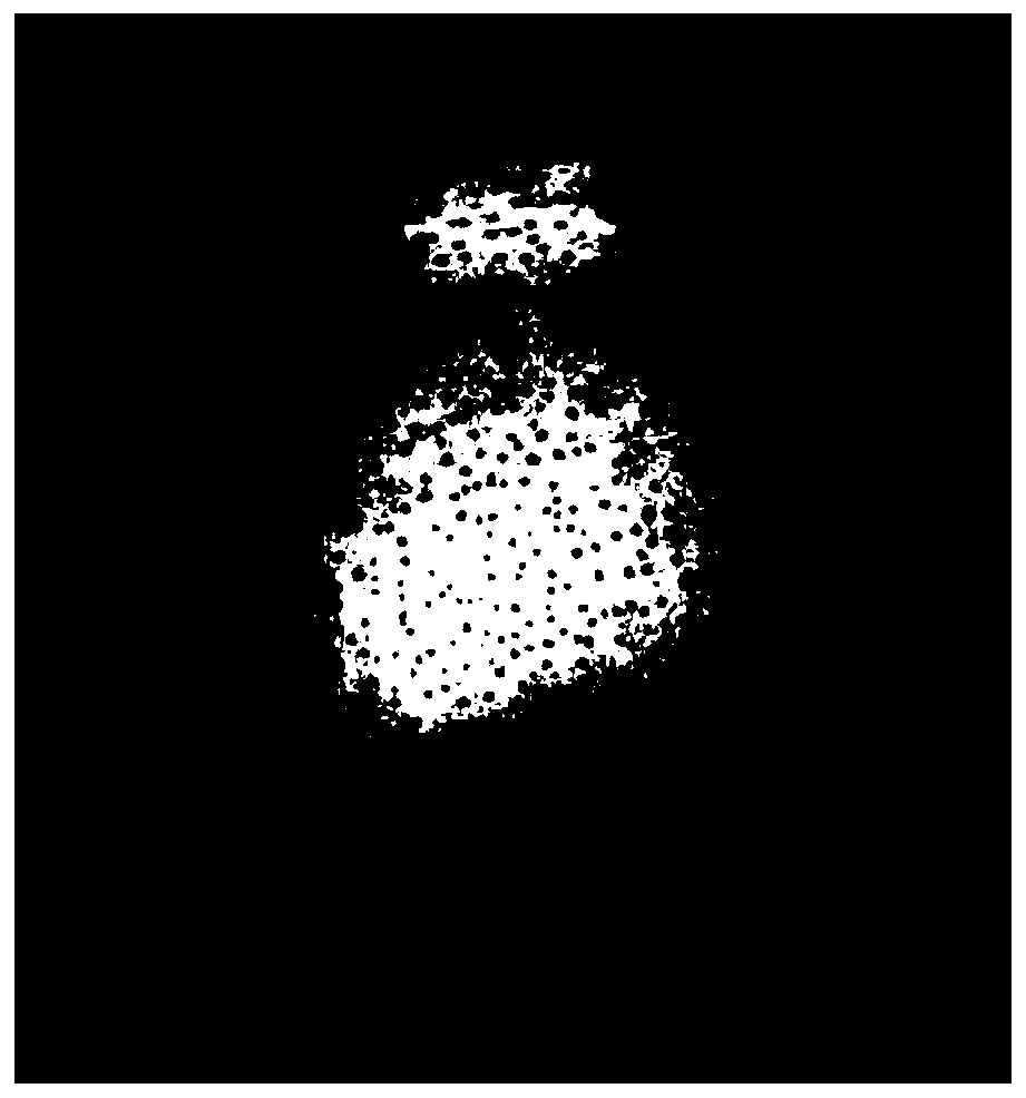 Method for measuring and analyzing phenotypic fruit point data of pear germplasm resources