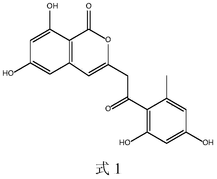 Polyketone compound, preparation method and application thereof