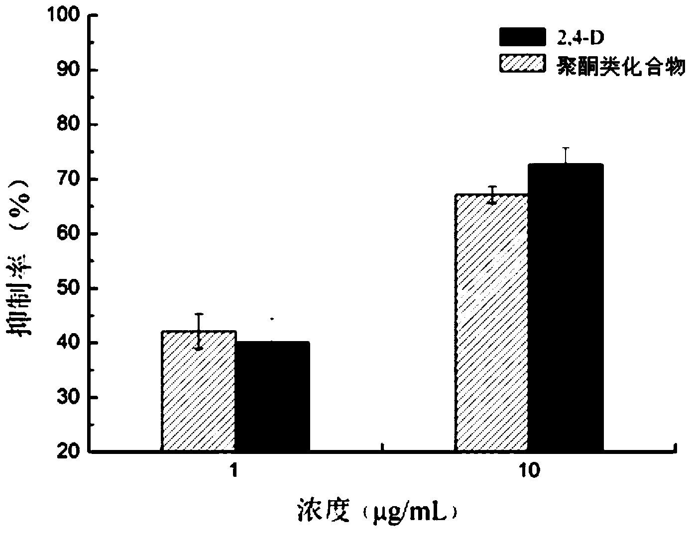Polyketone compound, preparation method and application thereof
