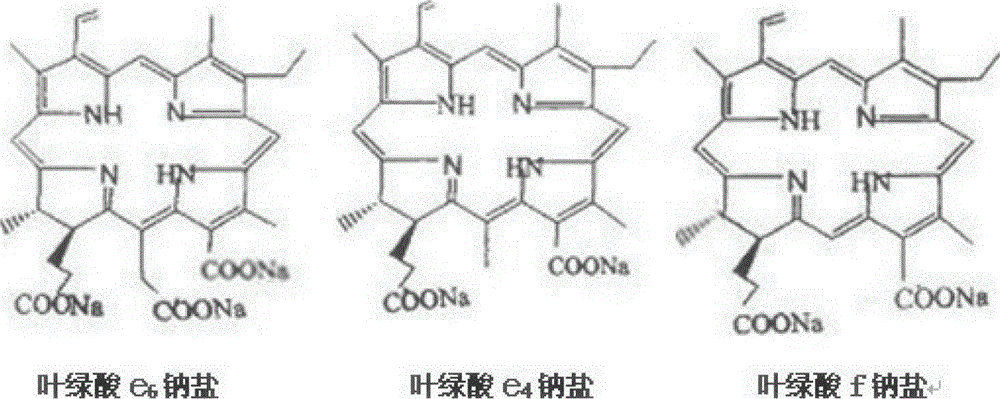 Photosensitizer sodium chlorophyllin derivative and its preparation method and use