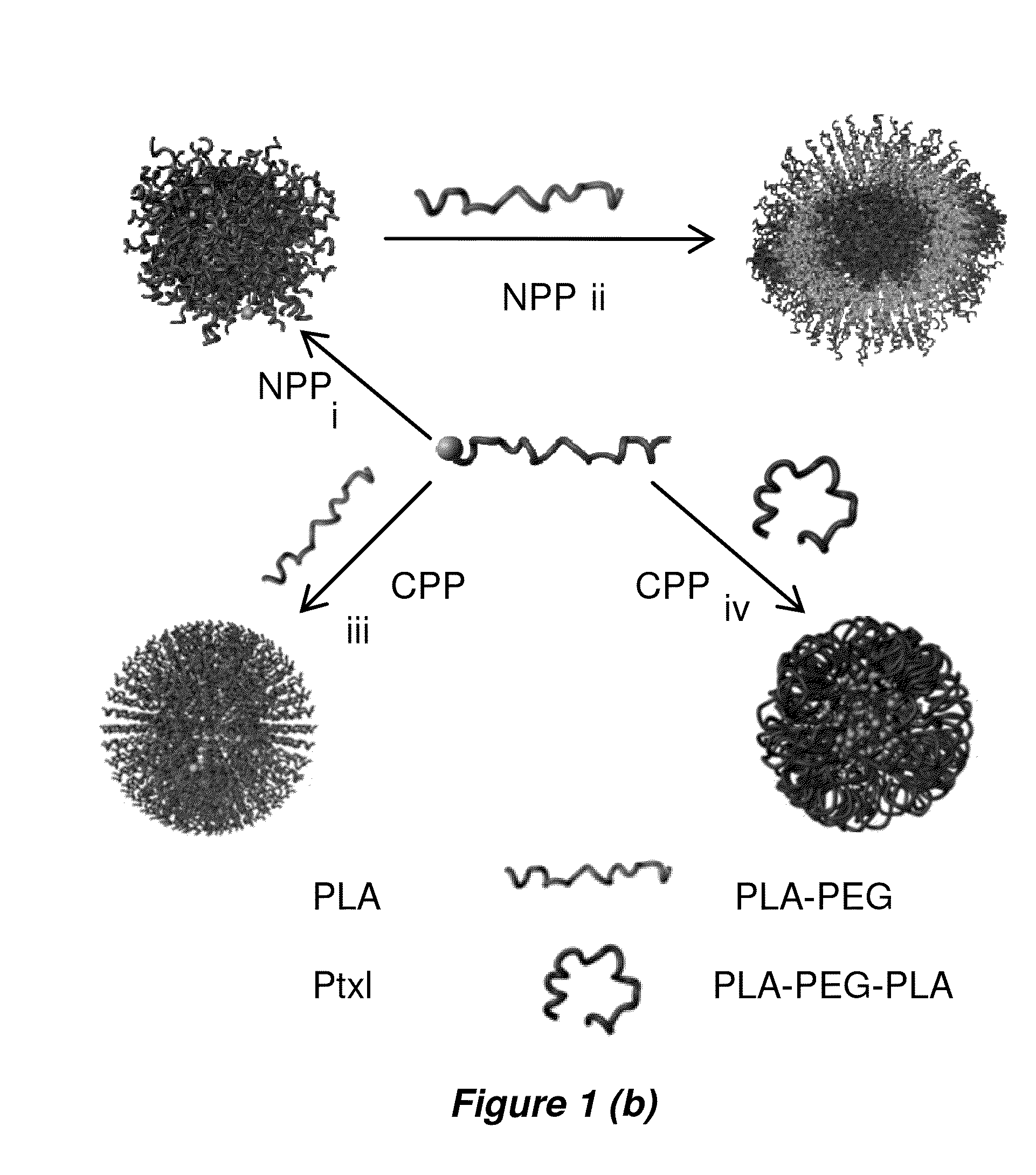 Nanoconjugates and nanoconjugate formulations