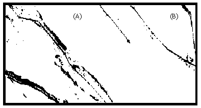 Full-body color-changing light-transmitting ceramic tile and preparation method thereof