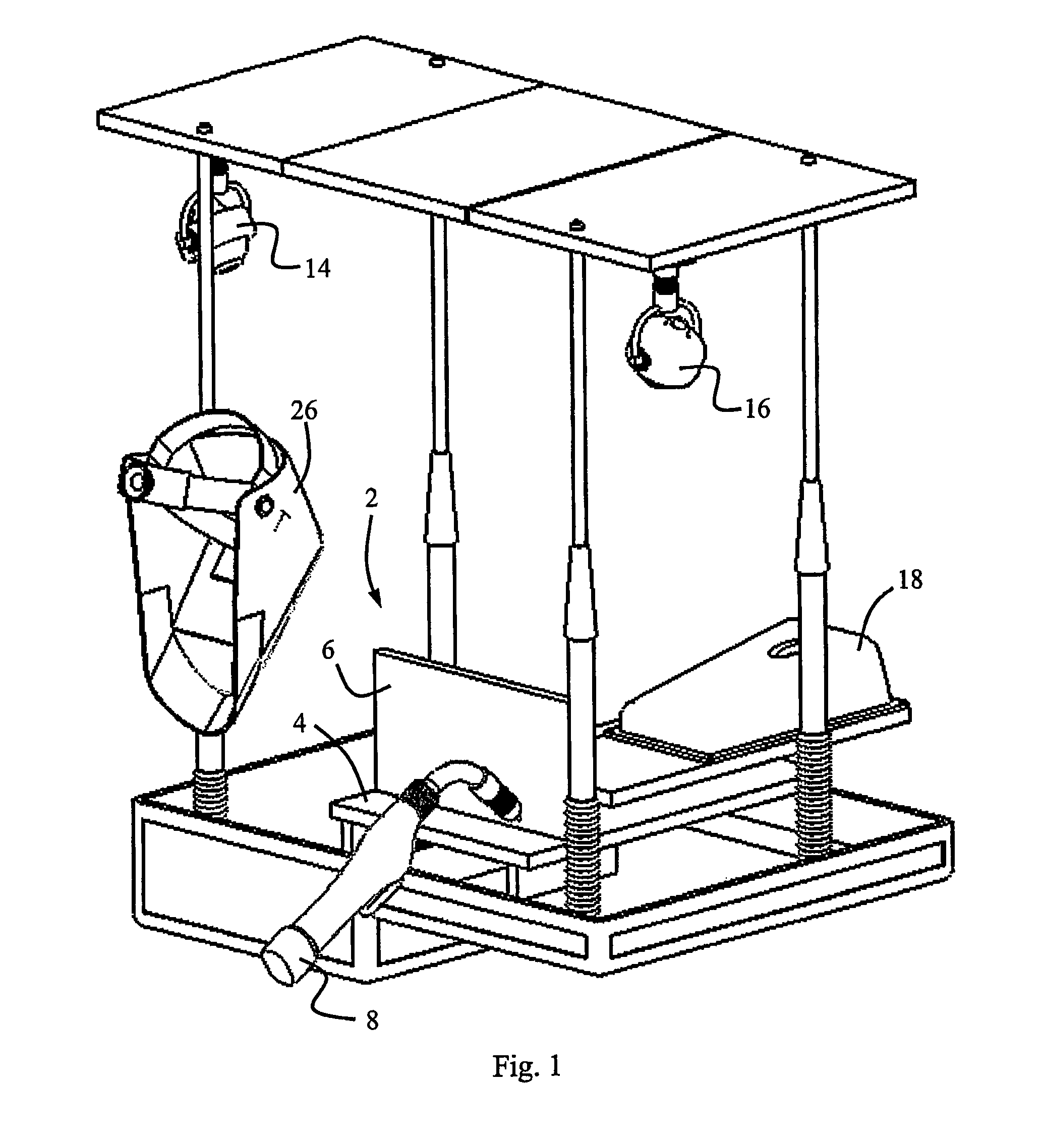 Body motion training and qualification system and method