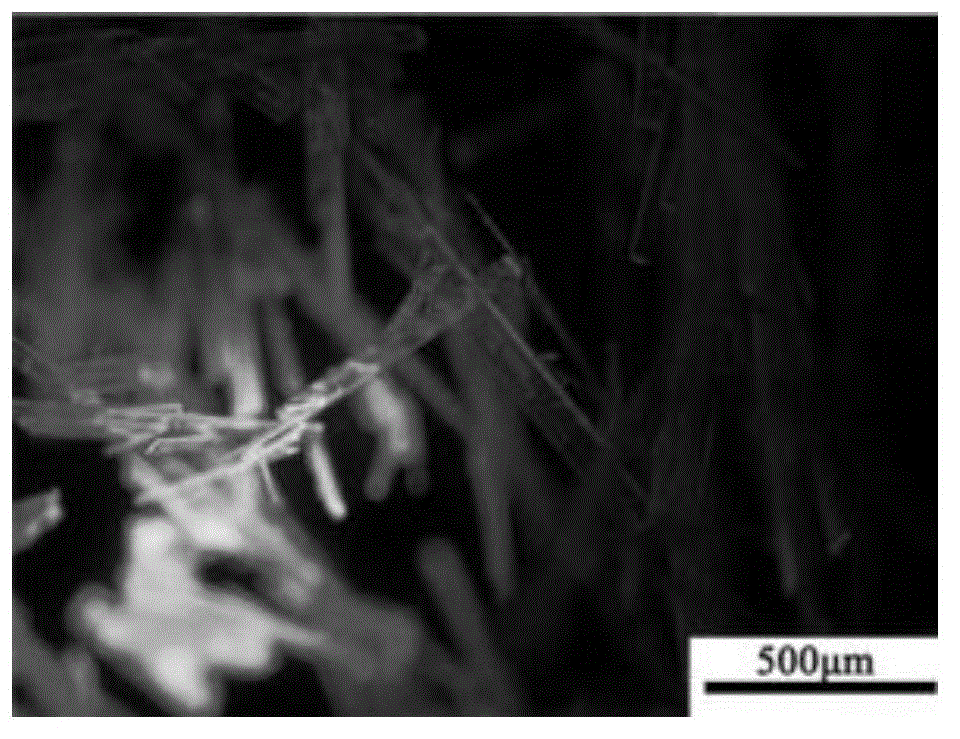 High fluorescence emitted POSS substituted perylene diimide crystal and preparation method