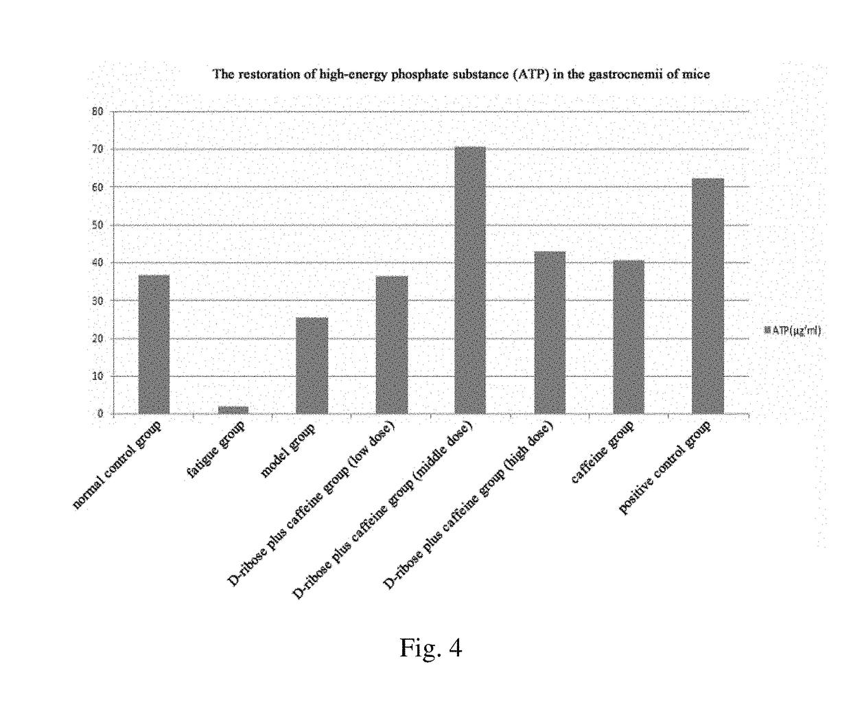 Anti-fatigue composition and use thereof