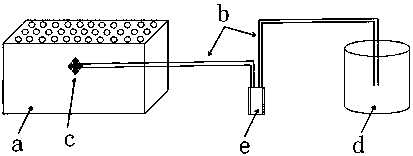 Method for promoting cutting rooting of improved variety of carya illinoinensis