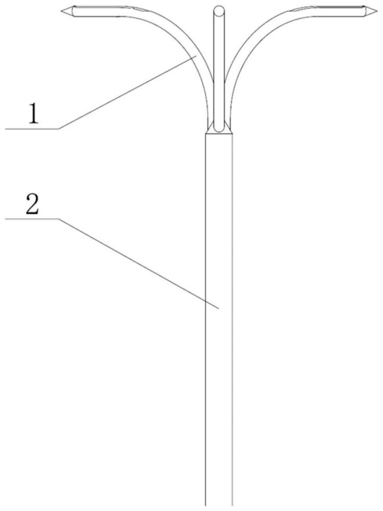 A suction cutting multi-point sampling needle with active deformation function