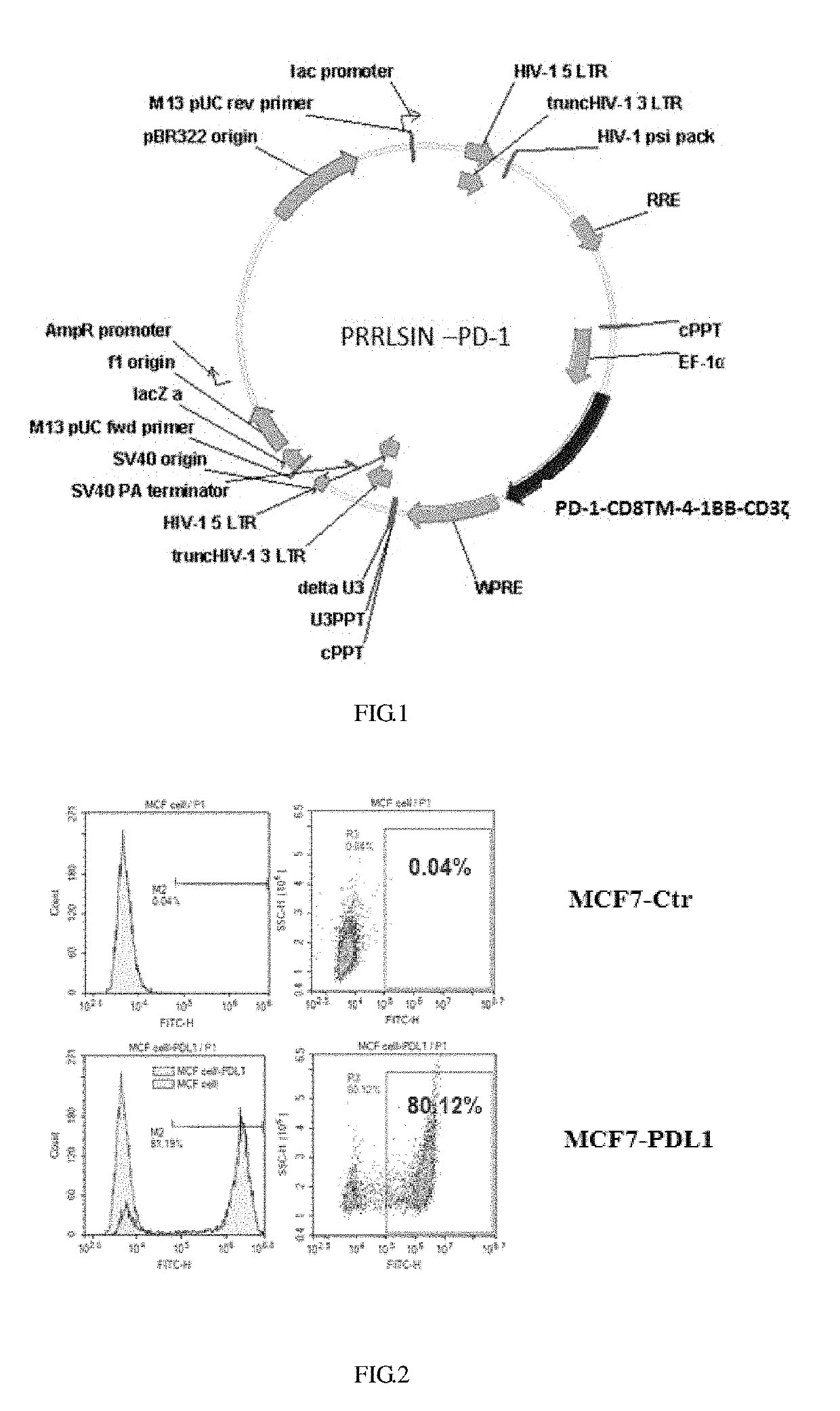 Pd-1 car-t cell, preparation method therefor, and application thereof
