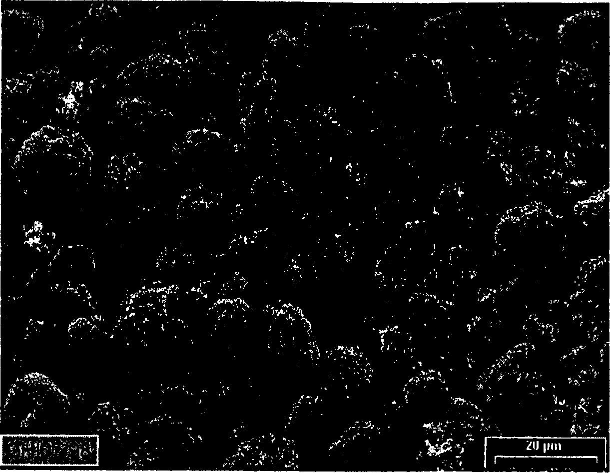 Lithium iron cell element produced by using microcomposite powder