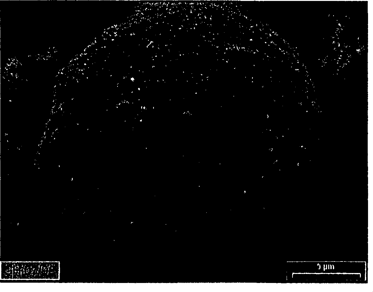 Lithium iron cell element produced by using microcomposite powder