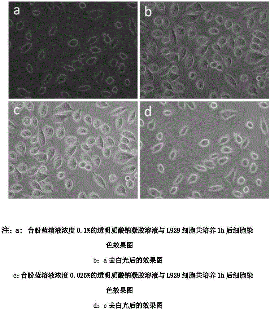 Preparation method of ophthalmological viscoelastic agent with selective anterior capsule staining function