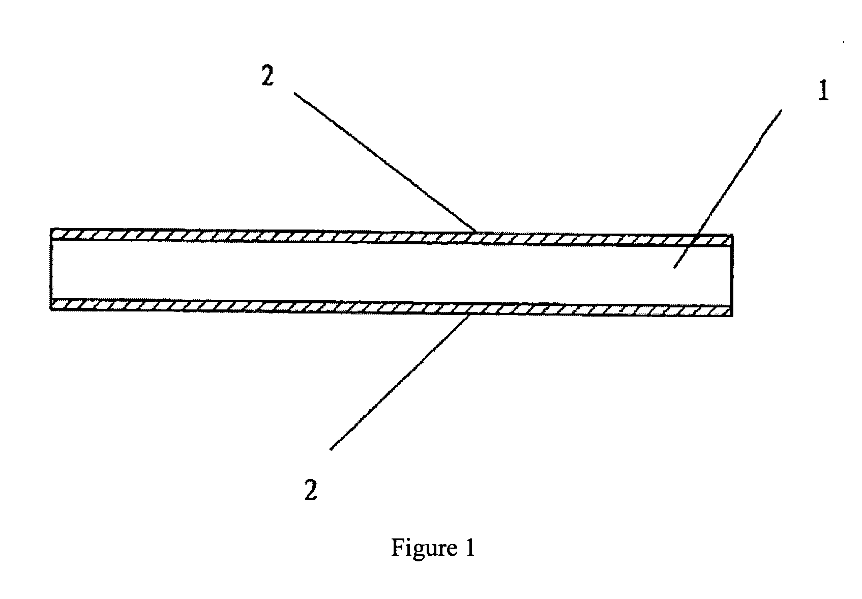 Biological surgical patch and method of making