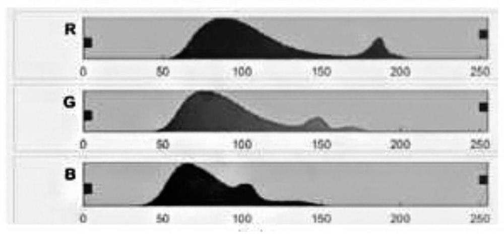 An Adaptive Binarization Segmentation Method for Images of Inscriptions of Chinese Characters