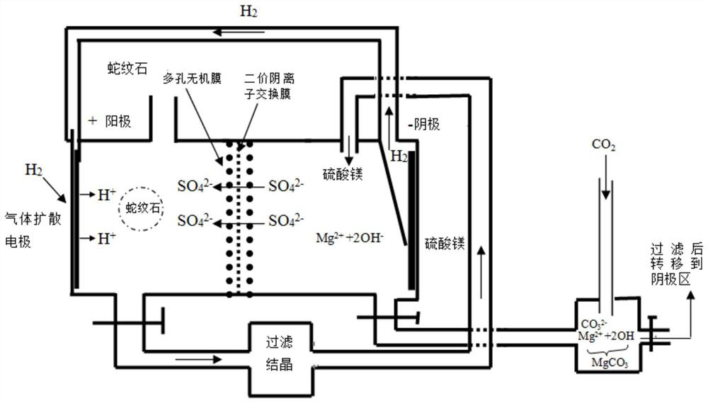 Electrochemical in situ leaching of serpentine using membranes for simultaneous mg  <sup>2+</sup> archive co  <sub>2</sub> device and method