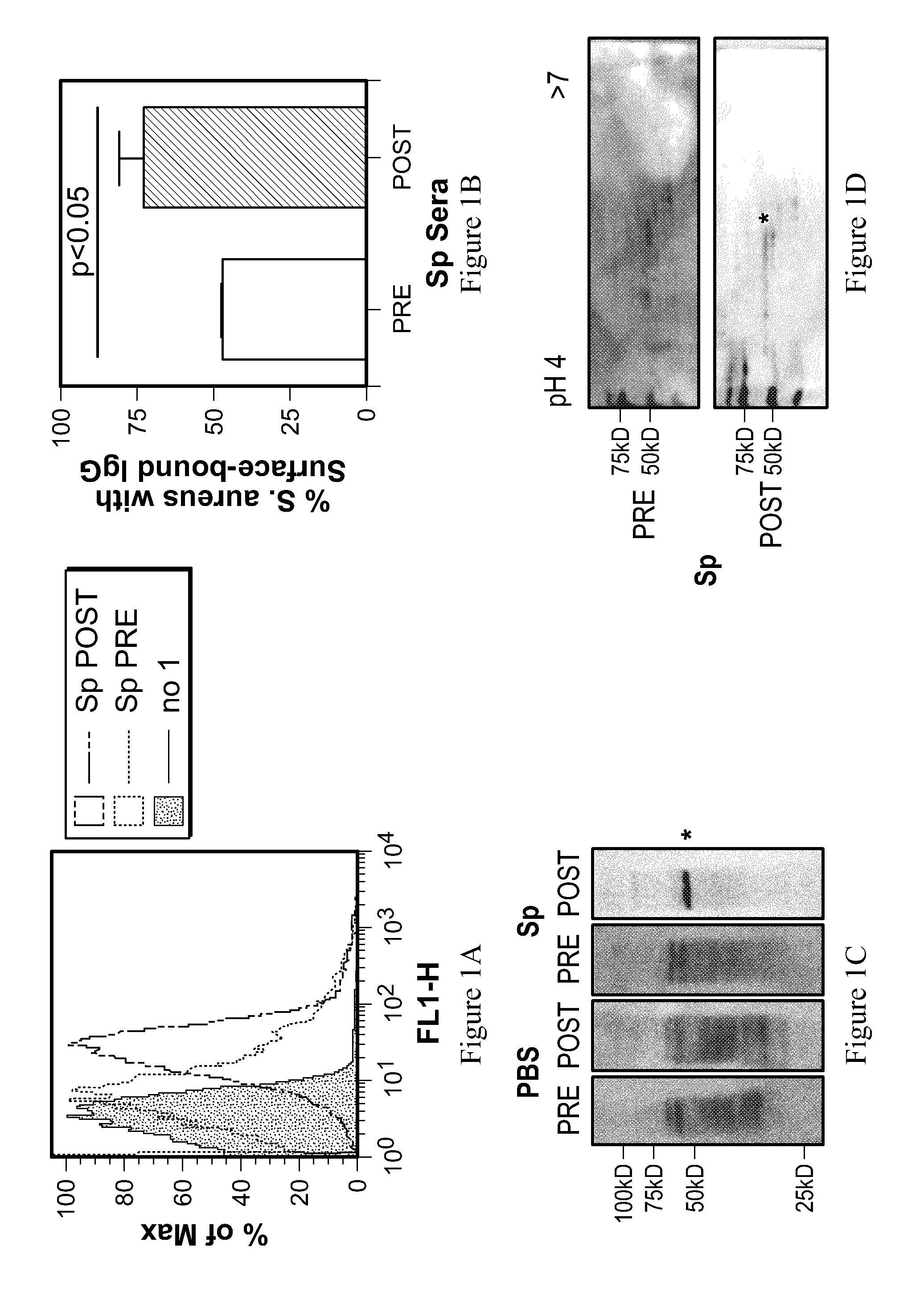 Methods for preventing and treating staphylococcus aureus colonization, infection, and disease