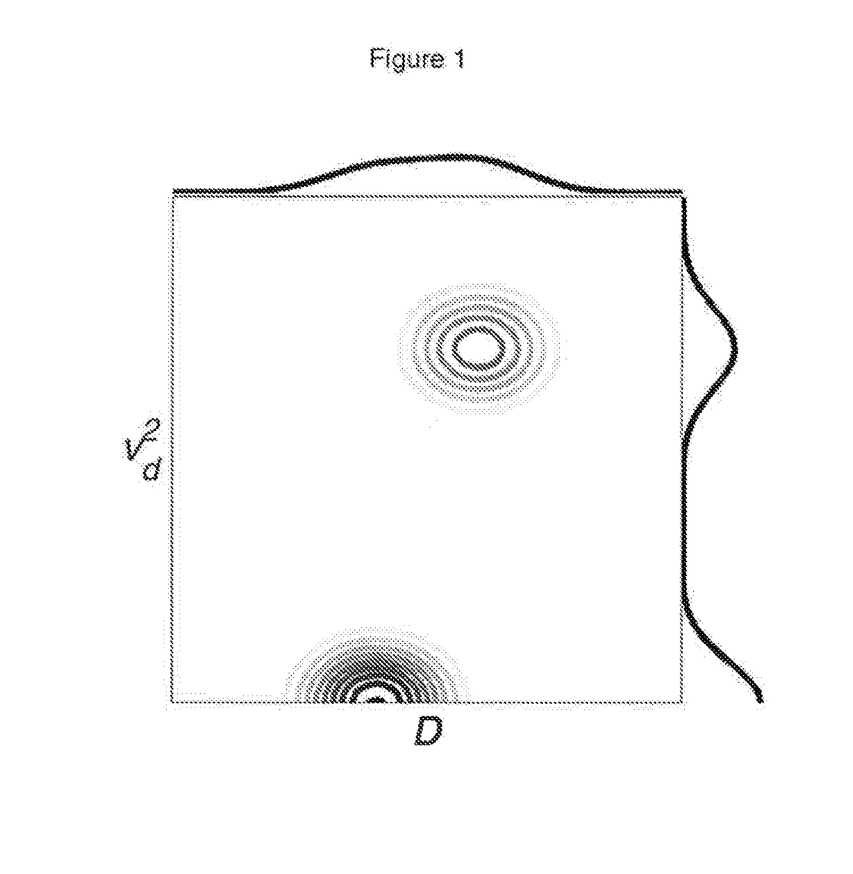 Quantification of the relative amount of water in the tissue microcapillary network