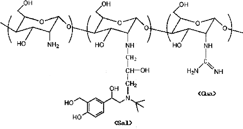 Salbutamol modified guanidinated chitosan and preparation method and application thereof