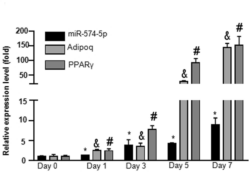 The medical application of mir-574-5p in diabetes and related diseases