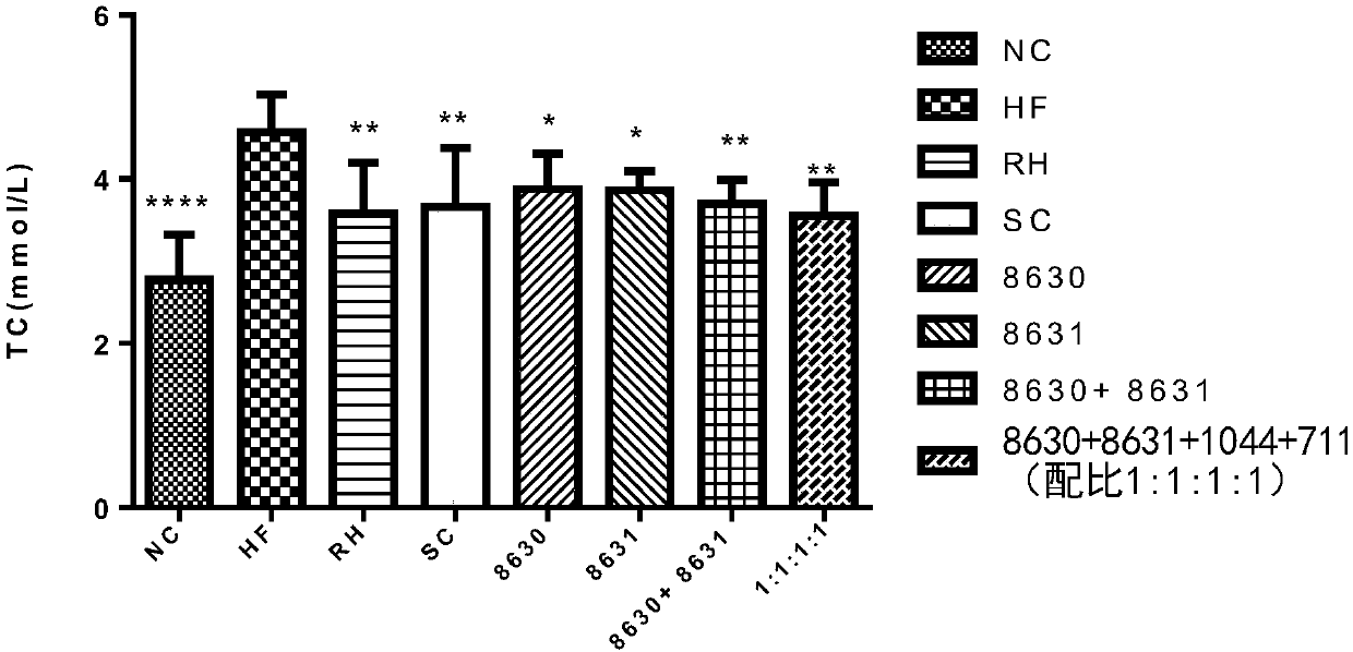 Complex probiotic and application thereof