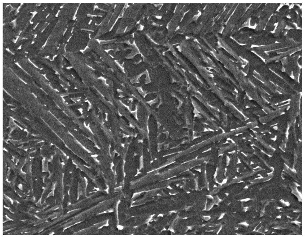 Treatment method for prolonging fatigue life of titanium alloy by using pulsed magnetic field treatment