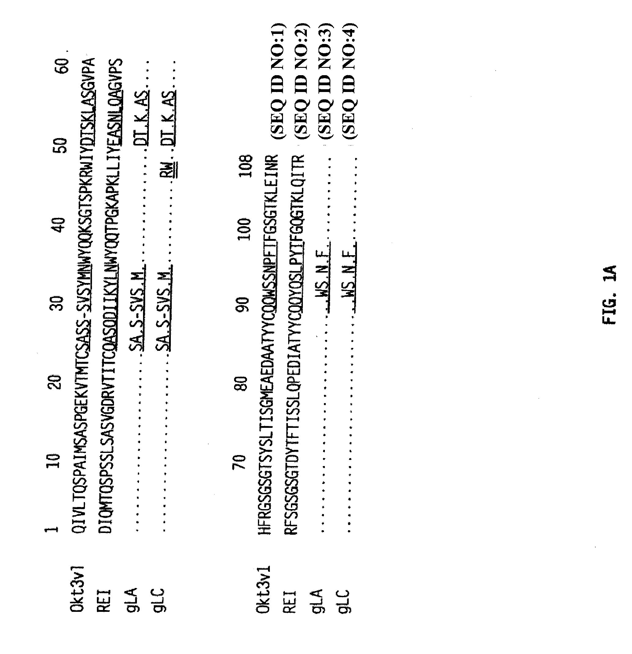 Methods for the Treatment of Autoimmune Disorders Using Immunosuppressive Monoclonal Antibodies with Reduced Toxicity