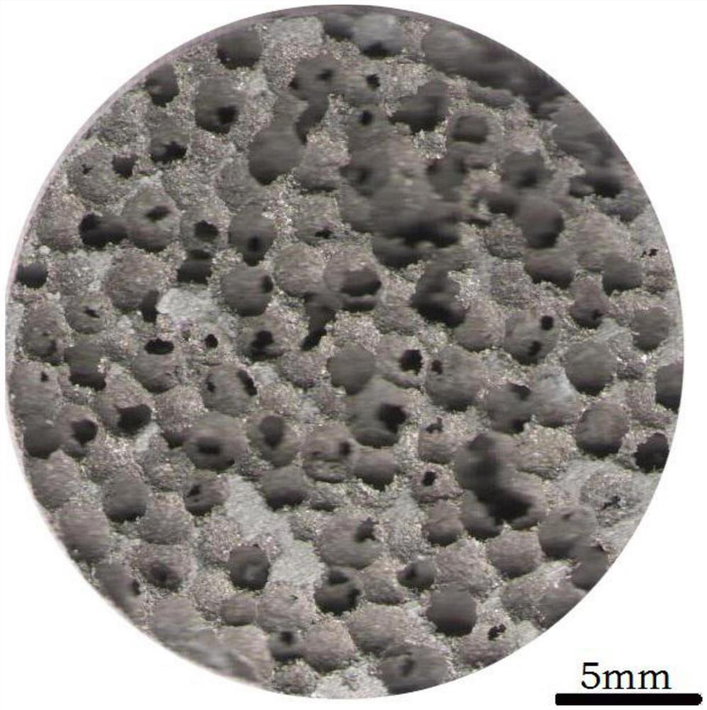 Porous magnesium alloy with through hole structure prepared by reactive sintering powder metallurgy method and preparation method of porous magnesium alloy