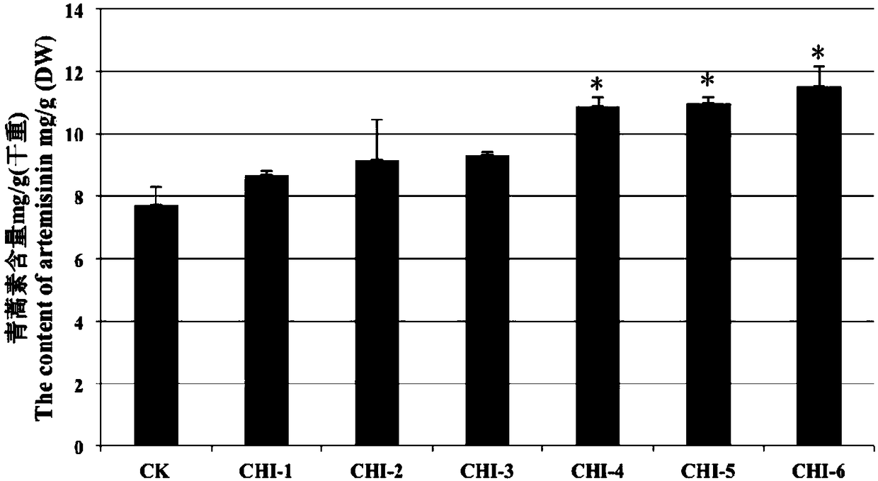 Method for increasing artemisinin content in Artemisia annua by transgenic chi gene