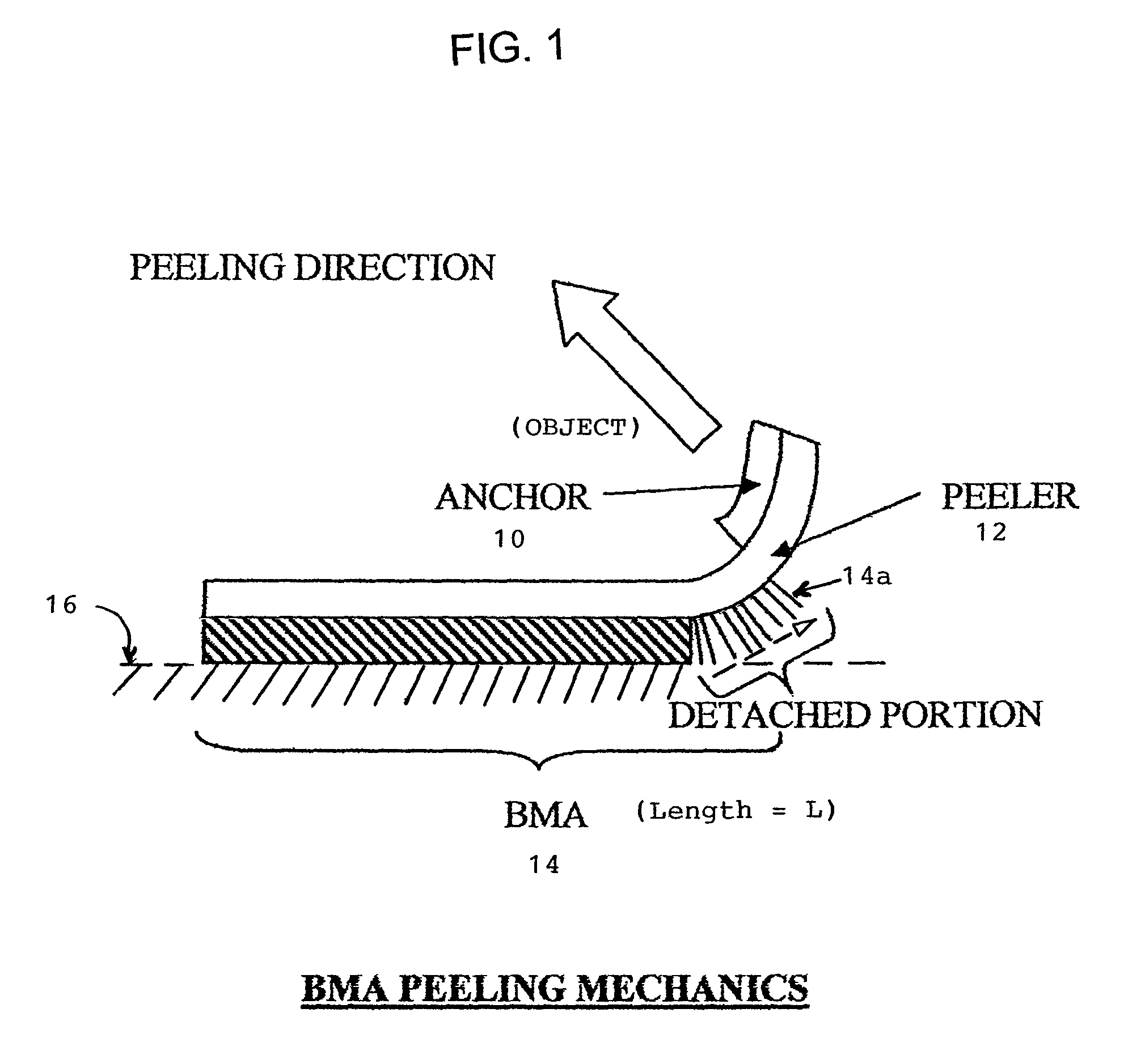 Adhesion device for applying and releasing biomimetic microstructure adhesive from a contact surface