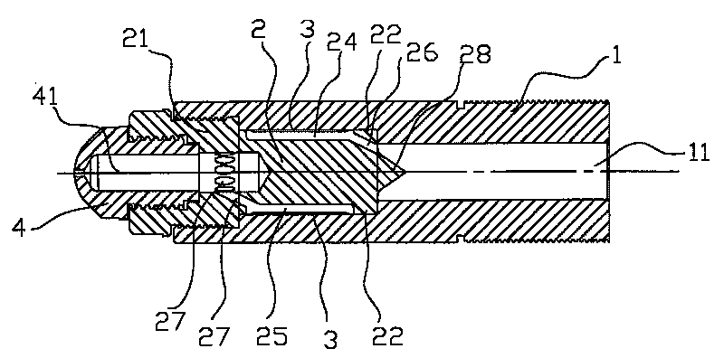 Injection molding nozzle with filter