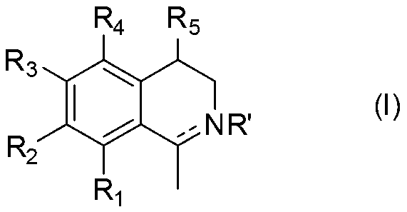 Novel 6,7-disubstituted-isoquinoline derivatives and their use