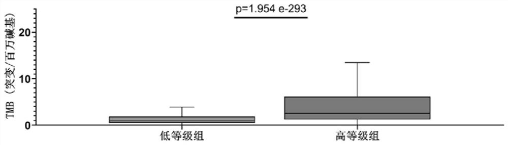 Application of gene combination in preparation of products for graded detection of human tumor homologous recombination defect, tumor mutation load and microsatellite instability