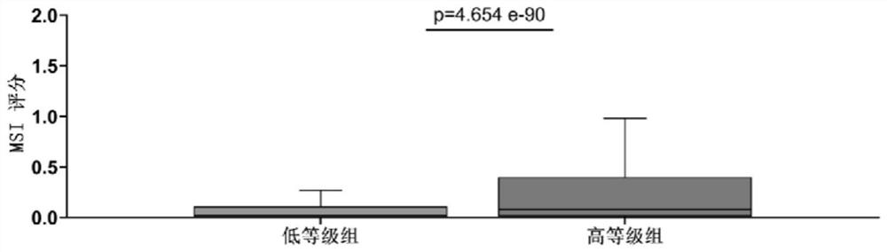 Application of gene combination in preparation of products for graded detection of human tumor homologous recombination defect, tumor mutation load and microsatellite instability