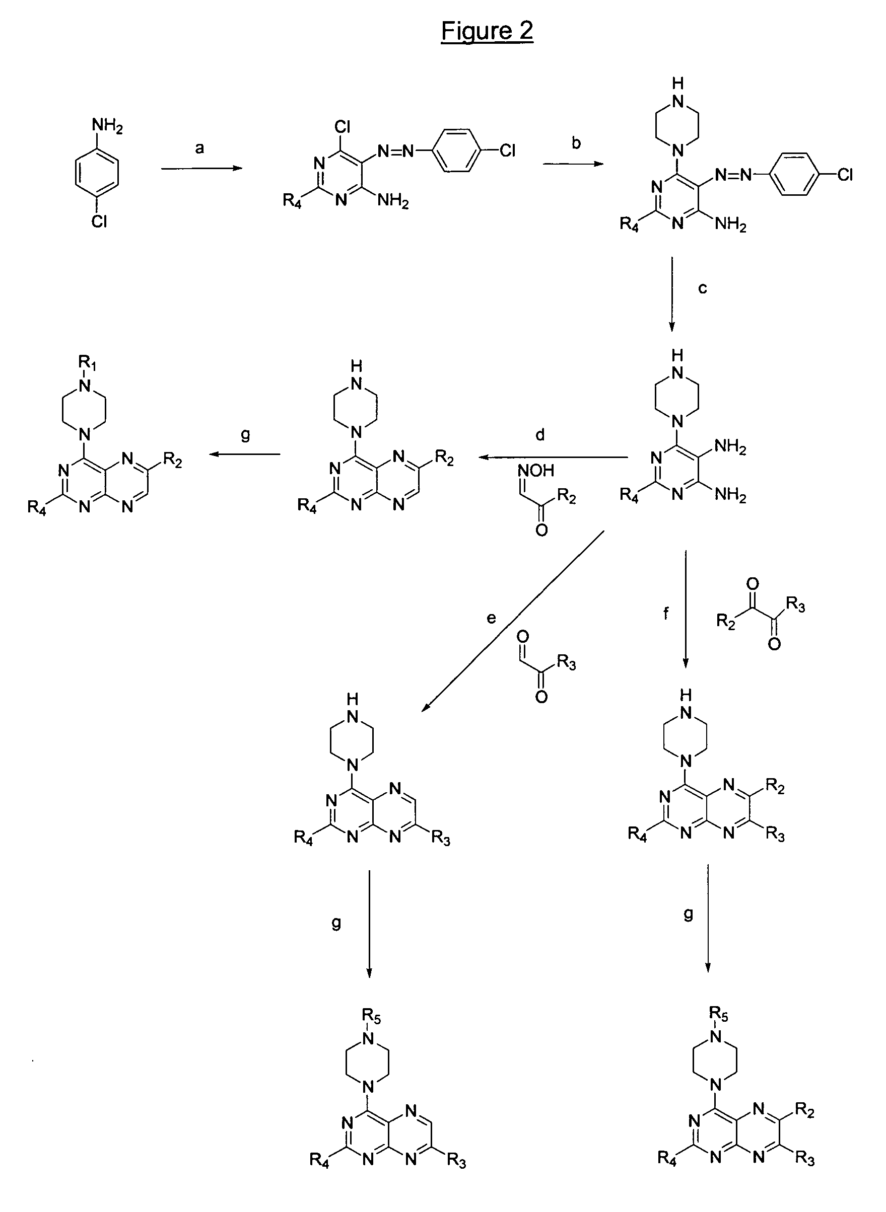 Pteridine derivatives useful for making pharmaceutical compositions