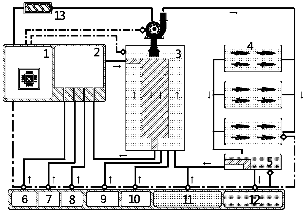 Non-surgical intervened fish artificial lung system and application thereof