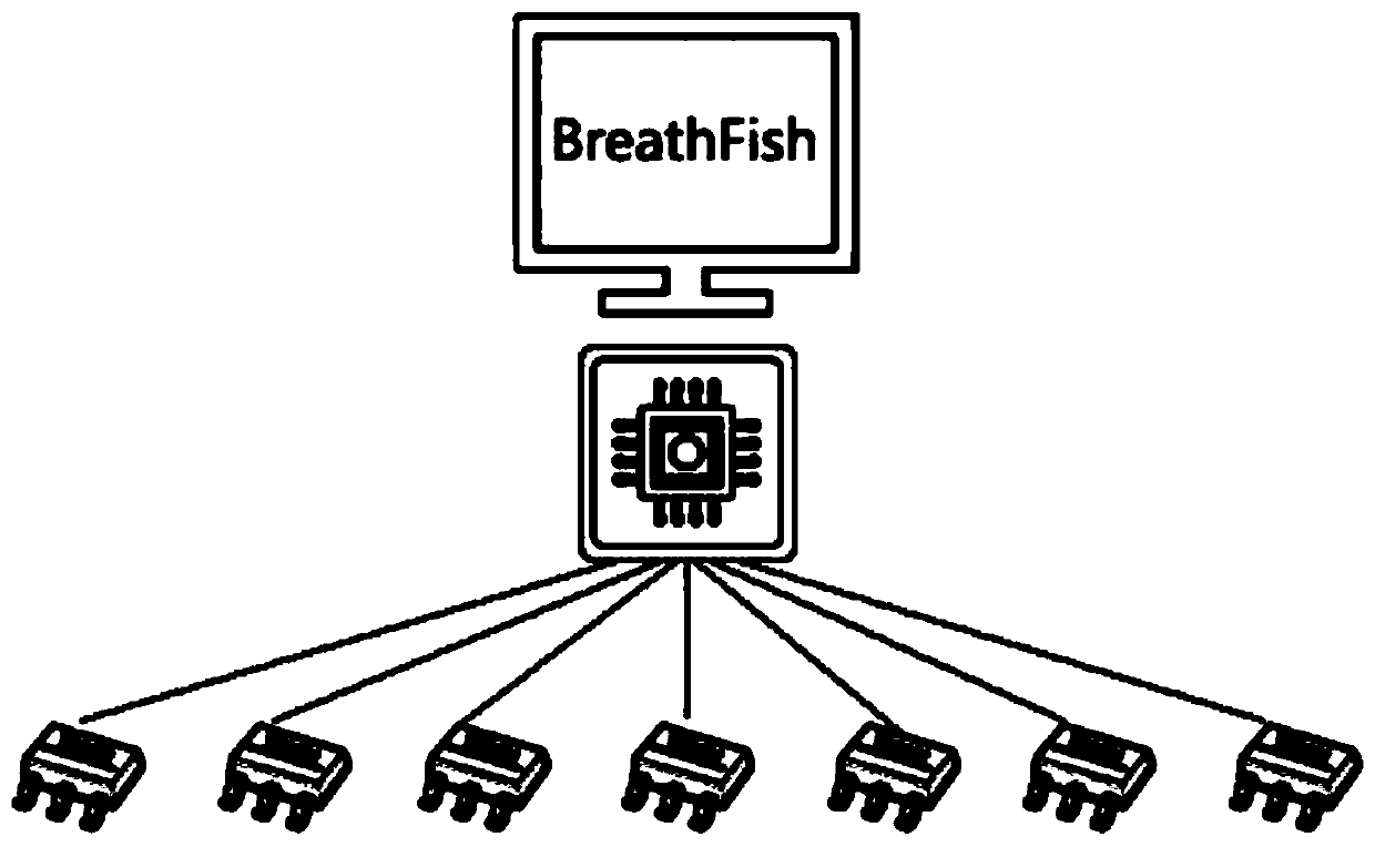 Non-surgical intervened fish artificial lung system and application thereof